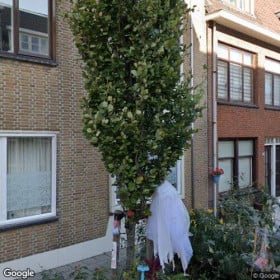 Appartement in Vlaardingen